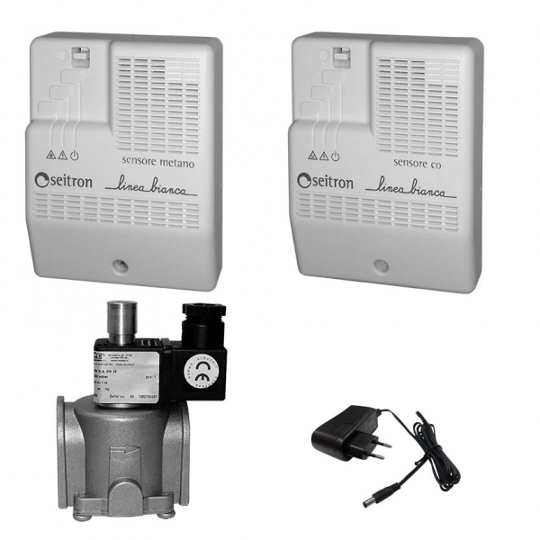 Комплект на природный и угарный газы RGD-CH4+CO-DN25